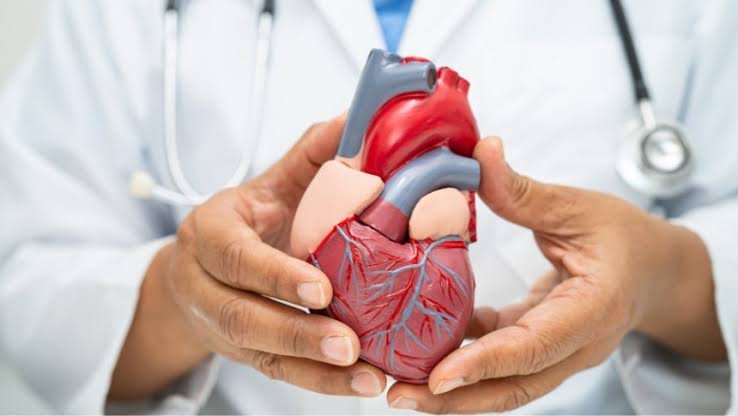 Cardiovascular Health: Practical Tips for a Stronger Heart