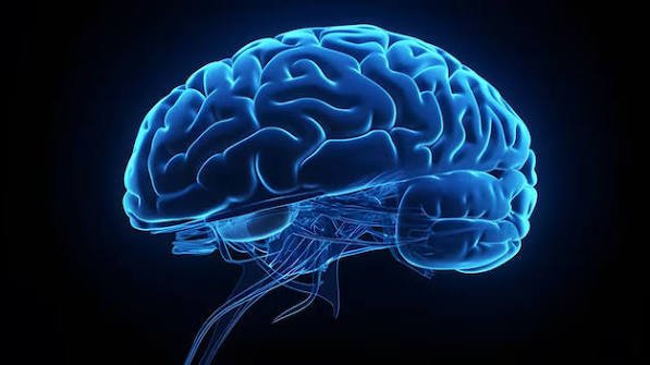 Neurology Facility Image 1