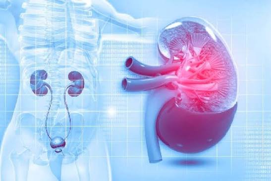 Urology Facility Image 1